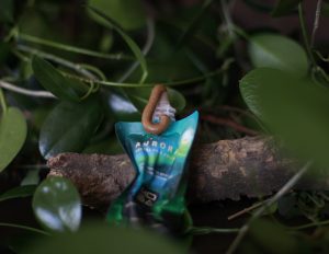 piling lica u proleće, nežan i balansiran