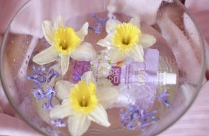 prirodna kozmetika i biljni sastojci