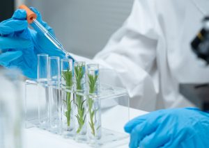 biljni ekstrakti u kozmetici proces ekstrakcije