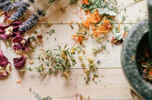 sirovina za biljni ekstrakt u kozmetici