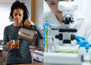 razlika izmedju caja i biljnog ekstrakta u kozmetici